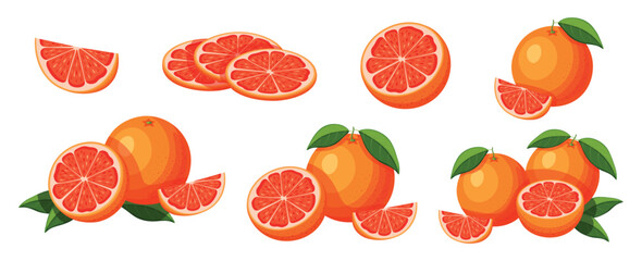 Set of fresh grapefruit in cartoon style. Vector illustration of delicious fruits whole and cut, large and small sizes with green leaves isolated on white background.