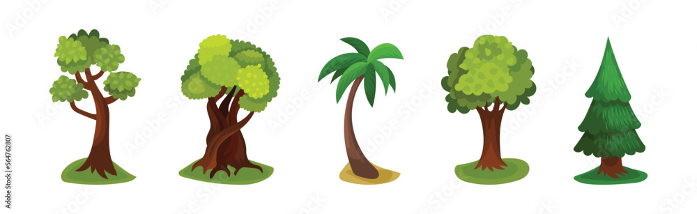Poster tree with exuberant green foliage and trunk vector set
