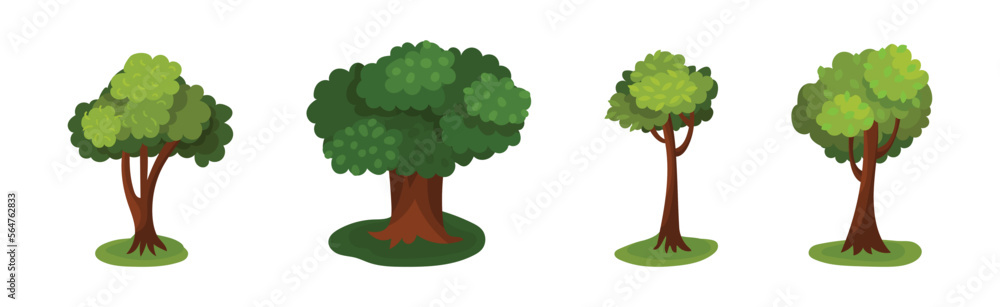 Poster tree with exuberant green foliage and trunk vector set