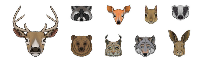 Wild Forest Living Animal Snout and Muzzle with Fur Vector Set