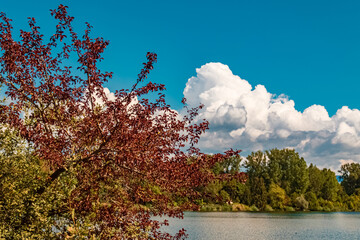 Beautiful summer view with reflections at a pond near Plattling, Isar, Bavaria, Germany