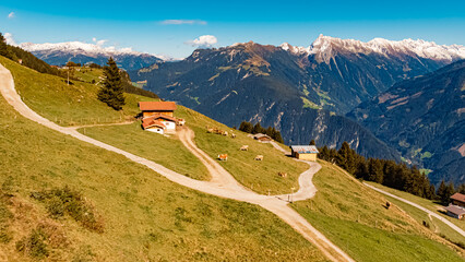 Fototapeta na wymiar Beautiful alpine summer view at the famous Penken summit, Mayrhofen, Tyrol, Austria