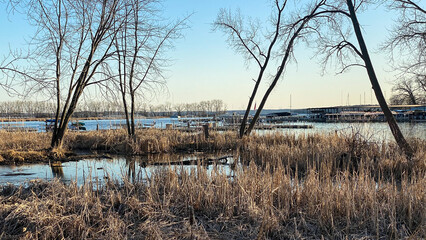 Spring marsh next to lake