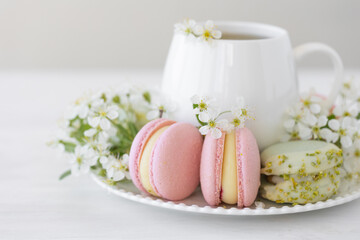 Fototapeta na wymiar Traditional delicious French dessert - sweet homemade macarons on a vintage plate. Colourful tasty macaroons served on a white china with herbal tea. Decorated with fragile cherry tree flowers.