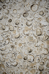 Shell rock texture. Natural stone background. Shell brick wall texture stone background, building limestone sand facade. The texture of a stone made of fossilized limestone.