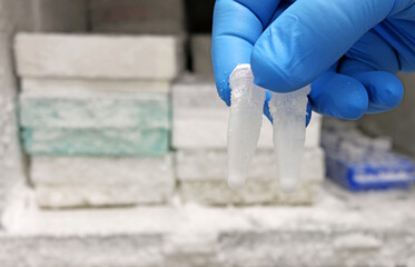 Scientist's hand with blue gloves taking frozen clinical samples