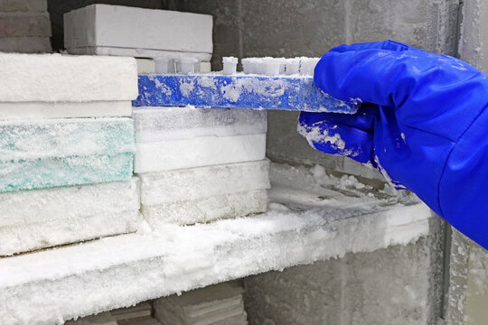 Scientist's hand with blue gloves taking frozen clinical samples