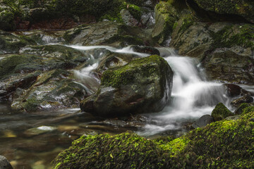 waterfall in the forest