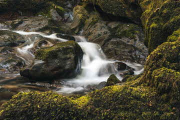 waterfall in the forest