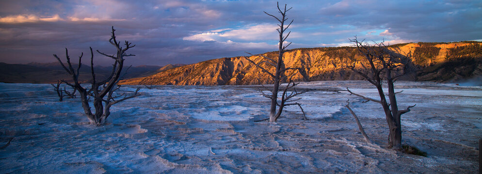 Mammoth Hot Springs is a large complex of hot springs on a hill of travertine in Yellowstone National Park.