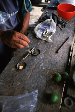 AmazonQuest