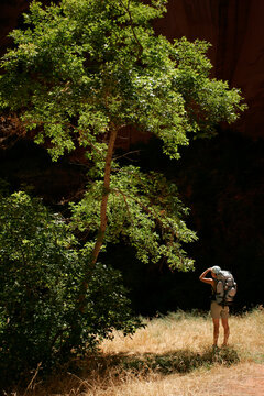 Hiking the Paria Canyon, Utah / Arizona.