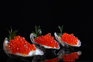 Red caviar in oyster flaps. A useful omega. An exquisite snack. Black background. Copy space.