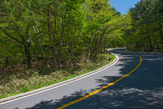 road to the Yeongsil hiking trail to Hallasan on Jeju Island