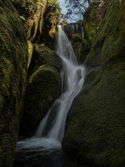 Long exposure of small freshwater river stream waterfall flowing through mossy rocks creek in Abel...