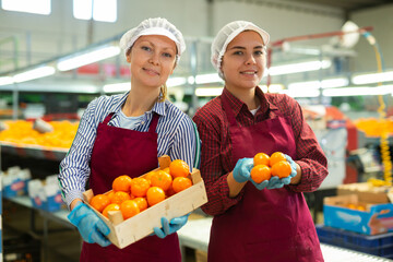Two young positive cheerful women worker in colored uniform pack fresh ripe mandarins near a...