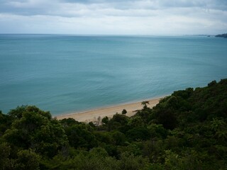 Elevated view of tropical pacific ocean beach surrounded by lush green nature in Abel Tasman National Park New Zealand