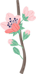 Blooming sakura flat icon Spring decorative tree