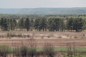Fototapeta na wymiar Forest green massif. View of the distant hills.