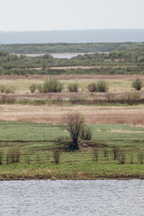 Forest green massif. View of the distant hills.