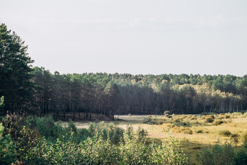 A beautiful view of the green meadow and the seething river.