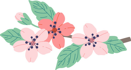 Blooming sakura flat icon Spring decorative tree © Mykola Syvak