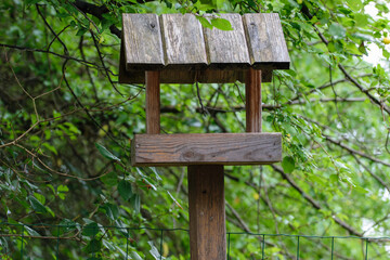 Karmnik dla ptaszków stojący pośród drzew na tle zielonych liści 