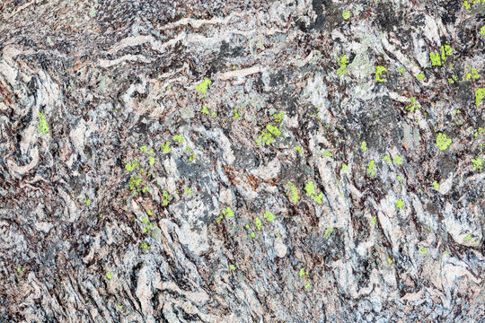 Marbled layers in metamorphic granite above Spectacle Lakes, Rocky Mountain National Park, Colorado.