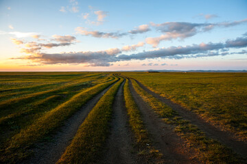 Tire tracks on steppe of Kharkhorin, Ovorkhangai Province, Mongolia
