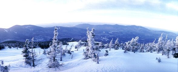 Snowy mountain and snow covered trees.