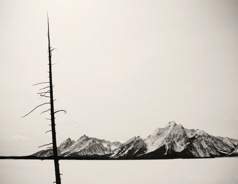 Mount Moran and Grand Teton stand behind a frozen and snow covered Jackson Lake, Wyoming.