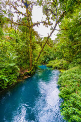 Naklejka premium Water at the junction of Rio Buenavista and Quebrada Agriawhere its tributaries come together and the water is observed in shades ranging from aquamarine, sky-blue, light blue, turquoise, to deep blue