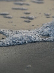 Sea Foam North Carolina