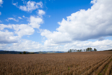 Autumn field with sky and clouds