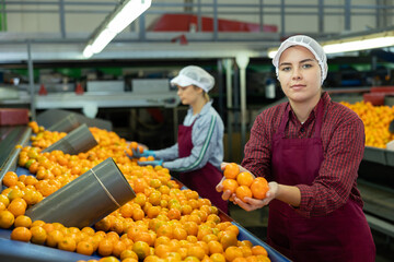 Portrait of cheerful young girl sorting ripe orange mandarins on conveyor line of factory for...