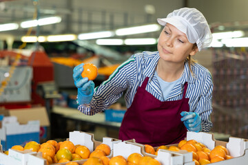 Professional female employee in uniform inspecting quality of ripe tangerines in boxes at fruit sorting factory © JackF
