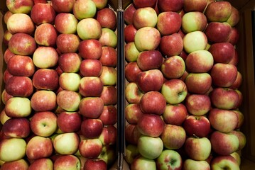 organic apples in a container at a market stall