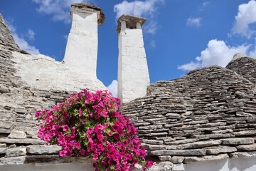 Trulli in Alberobello, gray stones and pink flowers Alberobello, Puglia, Italy