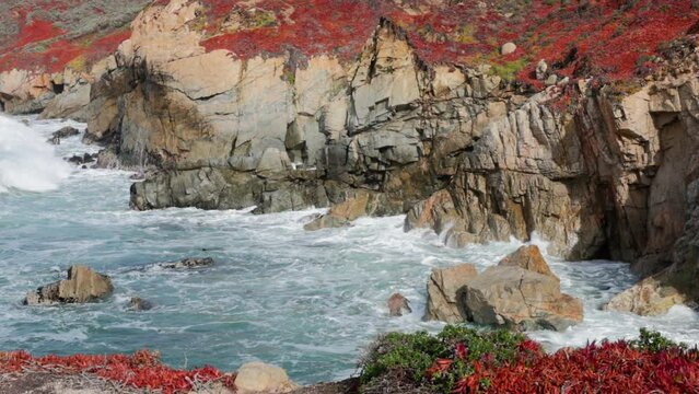 Close shot of Large waves crashing against jagged Big Sur Coastline in Garrapata, cliffs covered in red iceplant in Slow Motion.