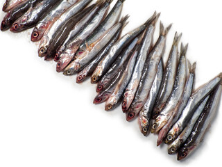 Lots of fresh sprats on a white background. Mockup. Fresh fish concept. Small fishes. Place for an...