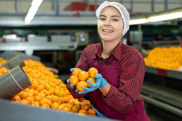 Portrait of cheerful young girl sorting ripe orange mandarins on conveyor line of factory for processing agricultural produce © JackF