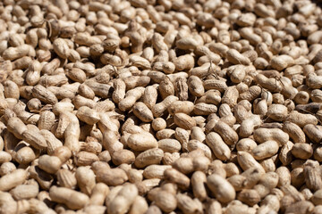 Raw peanuts in bamboo basket