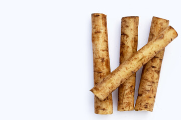 Burdock Root (Gobo) on white background.