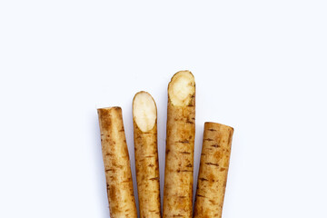 Burdock Root (Gobo) on white background.