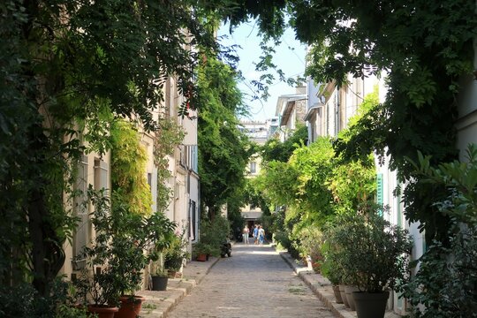 Pittoresque rue des Thermopyles dans la ville de Paris, ruelle pav&eacute;e v&eacute;g&eacute;talis&eacute;e, avec de nombreuses plantes vertes devant les fa&ccedil;ades des maisons (France)