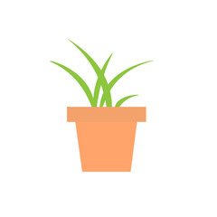 Fototapeta na wymiar potted plant on a white background, vector image