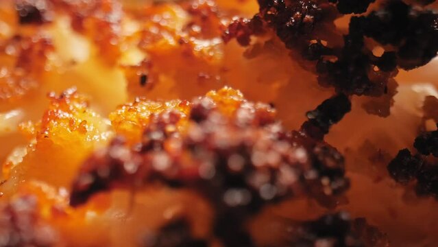 Macro shot of fresh cauliflower florets roasted to a caramelized golden brown. Slider pan shot.