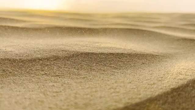 Close up of sand dune particles blown by the wind at sunset