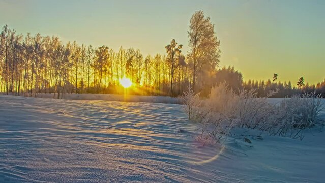 Stunning time-lapse of the low winter sun setting behind the trees of a winder landscape