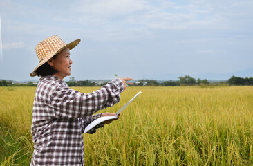 Portrait of an elderly Asian woman farmer is holding a pen and notebook paper, standing near her rice paddy field, collecting her rice farmland information, happy life after retirement concept.